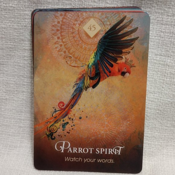 🌟The Spirit Animal Oracle: A 68-Card Deck and Guidebook Cards - Picture 6 of 12